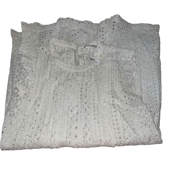 NWT Madewell Eyelet Ruffle-Sleeve Pintuck Mini Dress - Picture 11 of 16